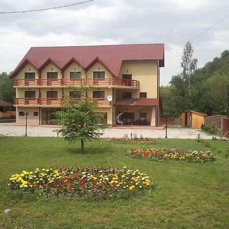 Pensiunea Roua Muntelui Dejani Exterior foto